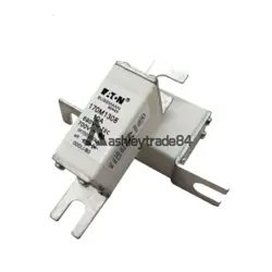 NEW 1PCS   170M1308 SEMICONDUCTOR FUSE #F9