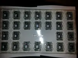 RCM2300