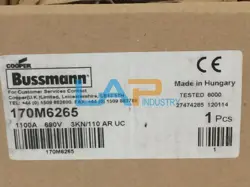FUSE 170M6265 #E6