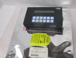 RABBIT SEMICONDUCTOR INC