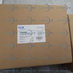 SEMICONDUCTOR FUSE US