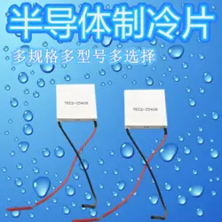 ELECTRONIC PLATE