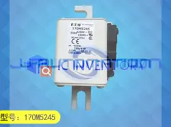 BUSSMANN 170M5245 1250V