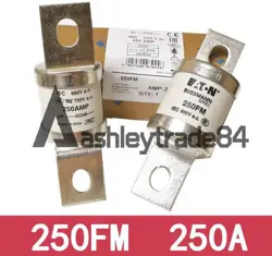 1PCS NEW 250FM 690VAC 250AMPS T TYPE SEMICONDUCTOR FUSE BS88 #F11