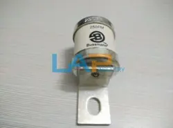 250FM SEMICONDUCTOR FUSE